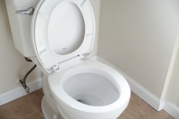 White toilet installation and repair